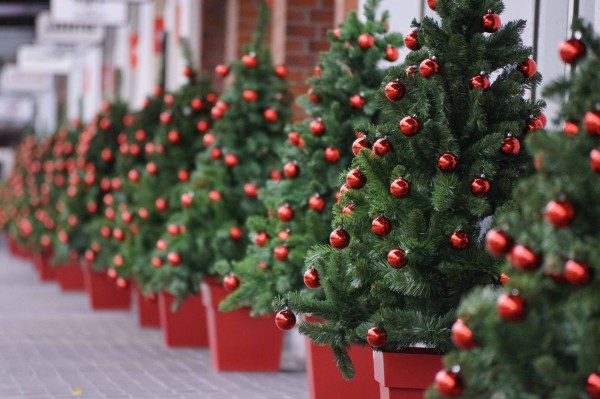 Sapin de Noël décoré avec boules rouges